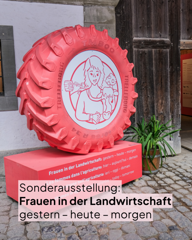 UNO Jahr der Landwirtinnen - Sonderausstellung im Ballenberg.